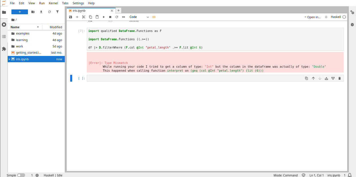 Screenshot of filtering with type error