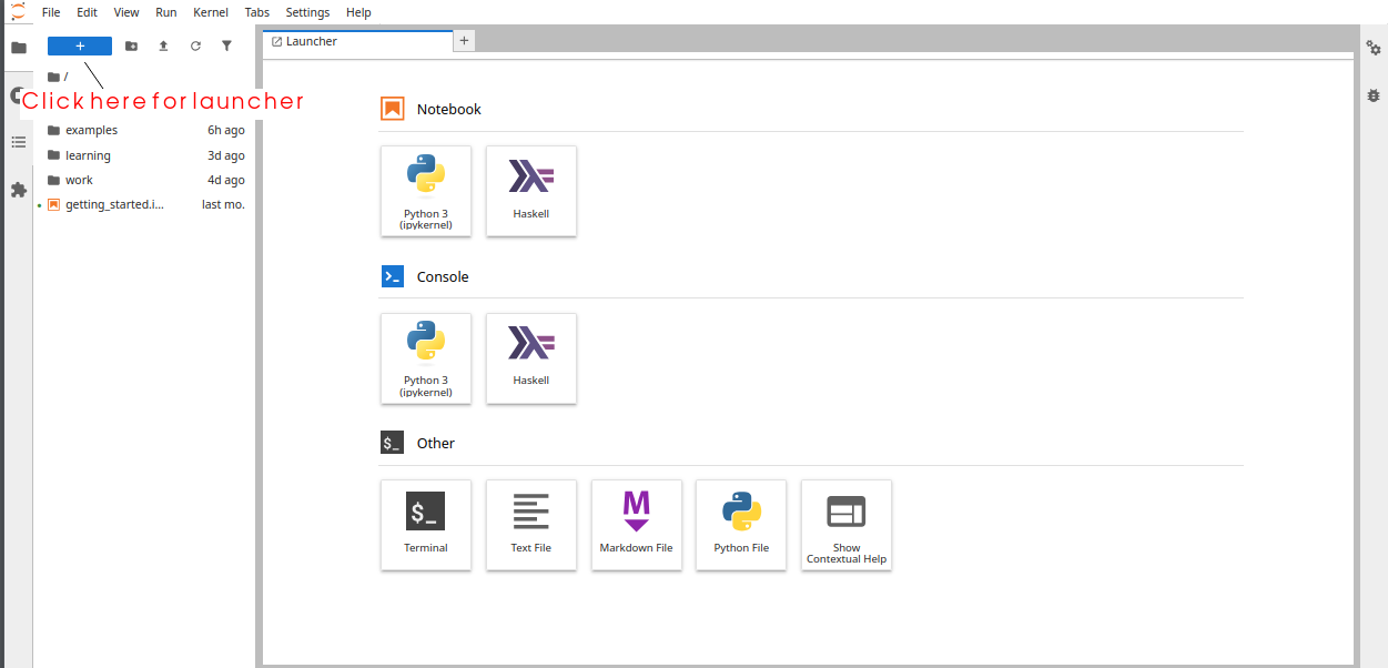Screenshot of Jupyter starter screen